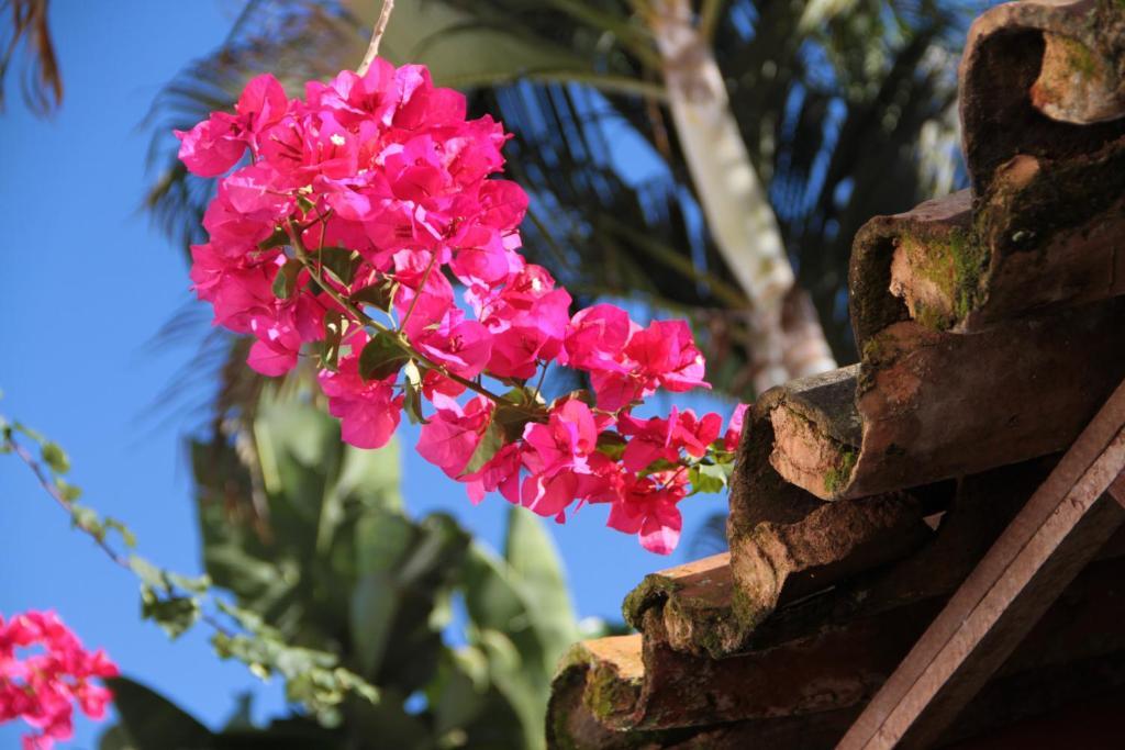 Pousada Do Cais باراتي المظهر الخارجي الصورة